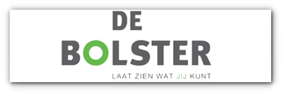 Logo DeBolster